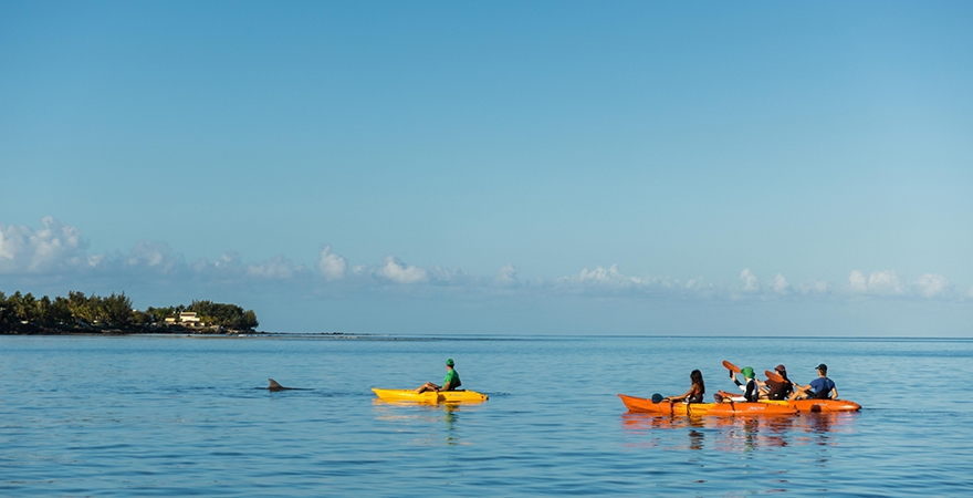 Kayaking_on_The_Tamarind_River_Untitled-1_0015_Dolphins-26
