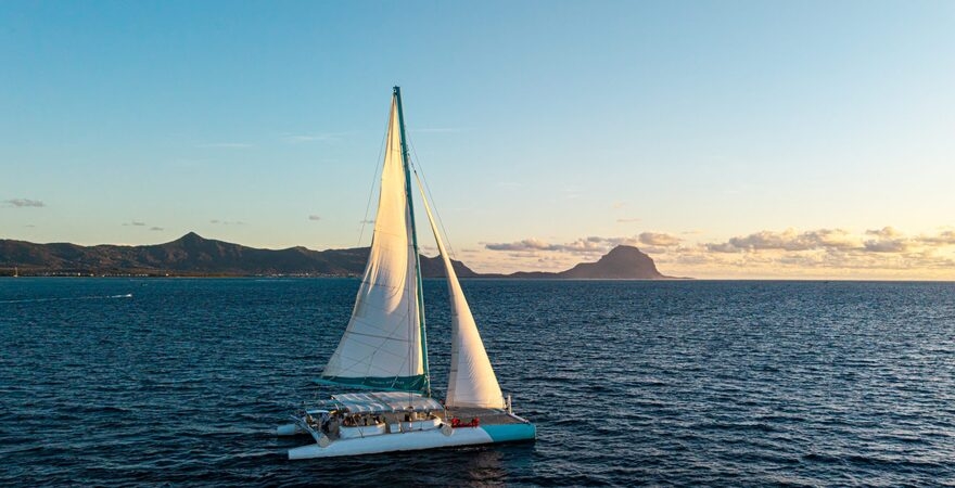 Croisieres_Australes_-_Spinner_Dolphin_sunser_spnr_do_cropped