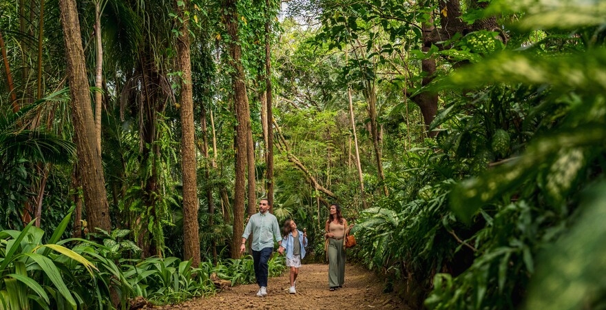 La_Vanille_Nature_Park_-_Riviere_Des_Anguilles_La_Vanille_ALX7600_cropped