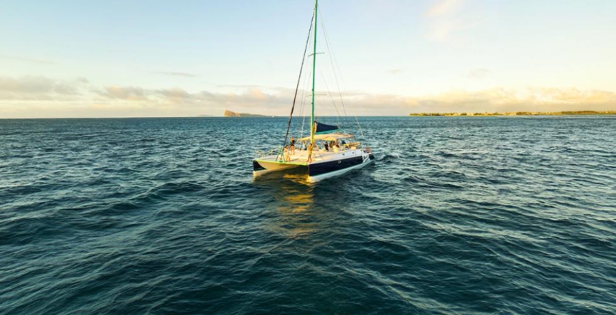 Catamaran_Blue_Safari_Screenshot_2025-12-11_110627_cropped