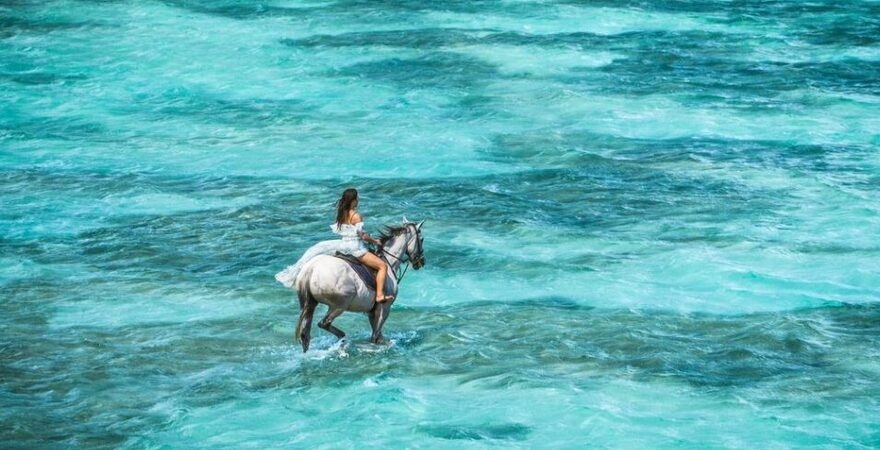 Centre_Equestre_de_Riambel_riambel_cropped